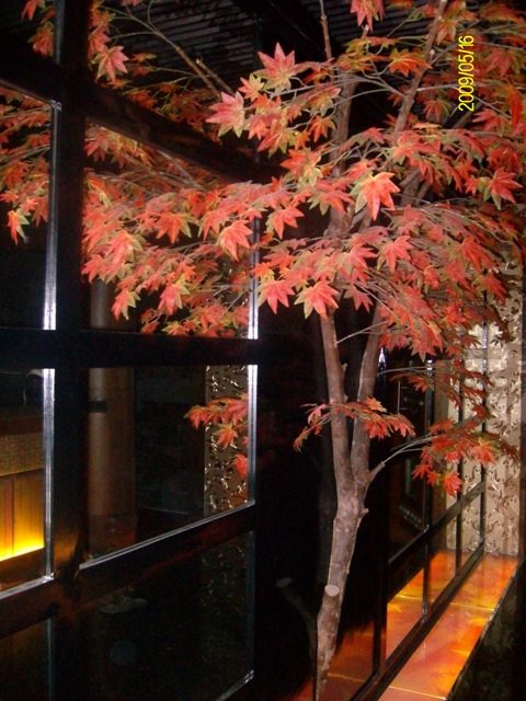 SANYO DIGITAL CAMERA